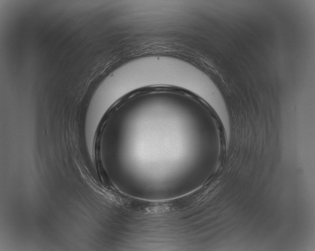 X0000054390362200507291150