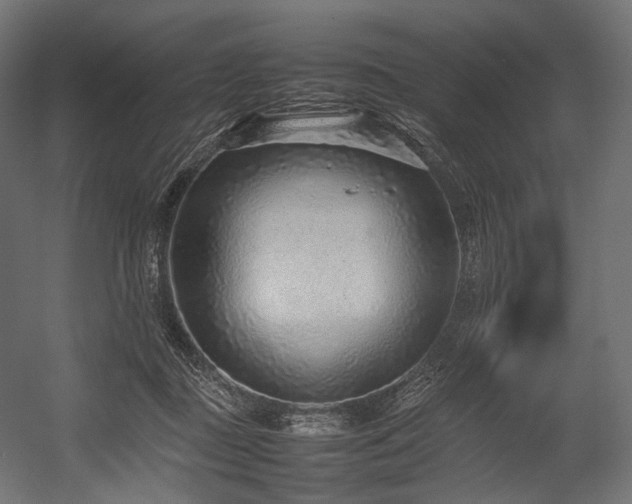 X0000054390363200507291150