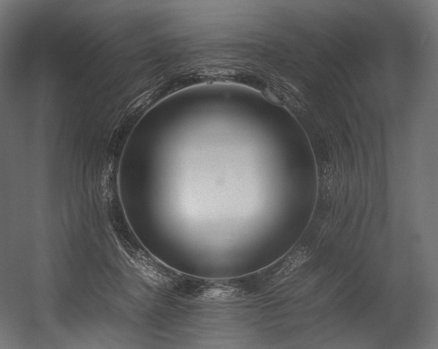 X0000054390364200507291150