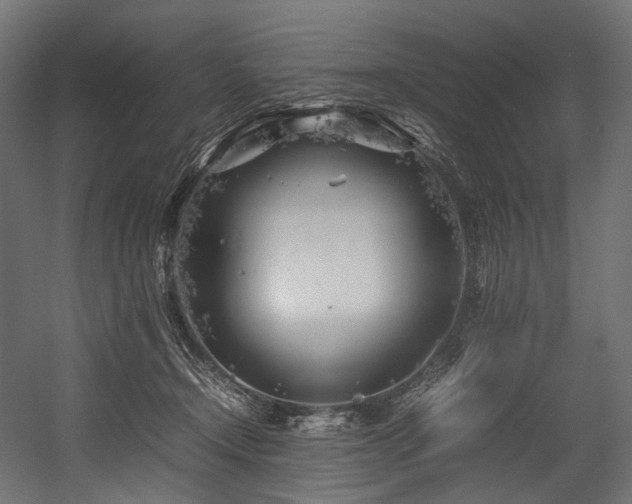 X0000054390366200507291150