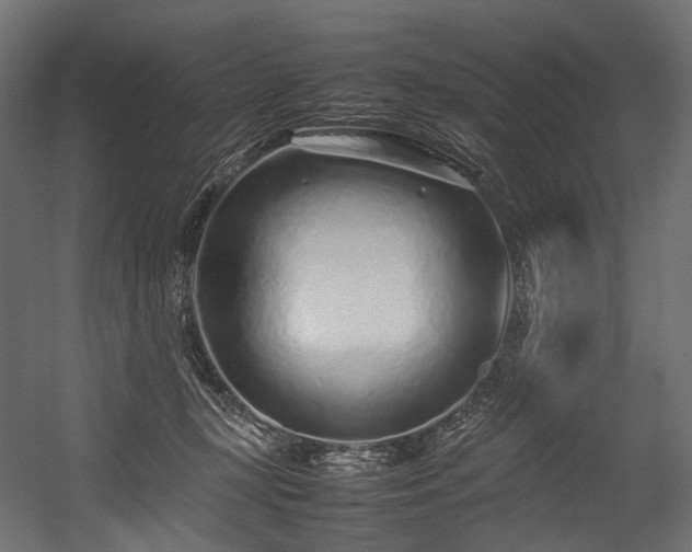 X0000054390367200507291150