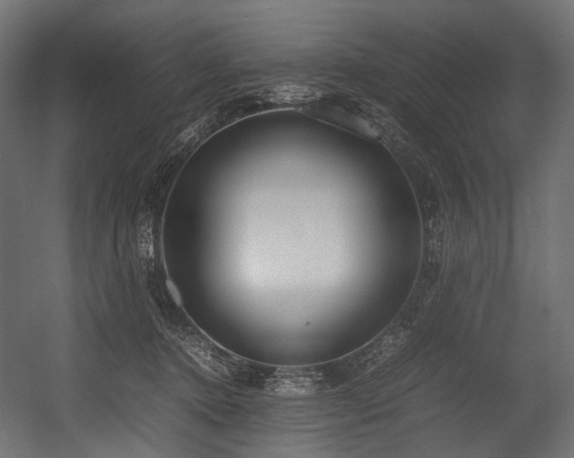 X0000054390368200507291150