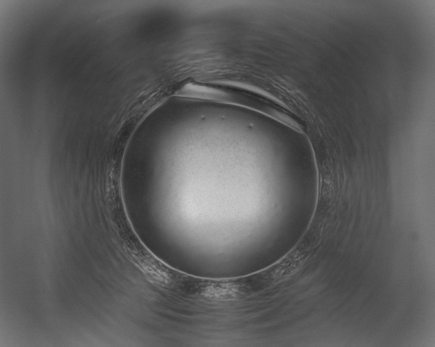 X0000054390369200507291150