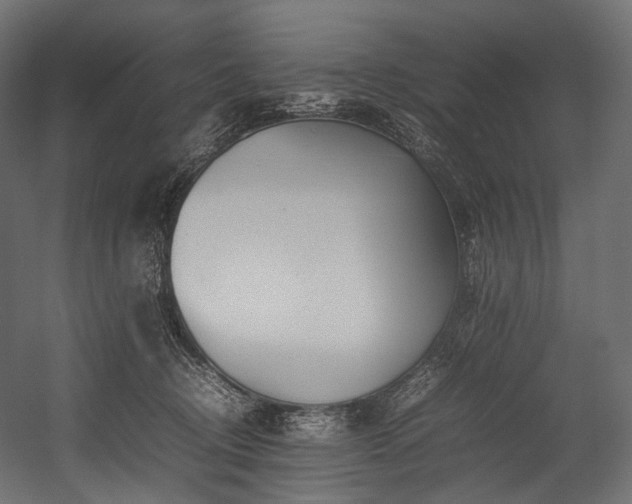 X0000054390370200507291150