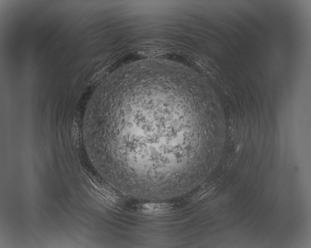 X0000054390371200507291150