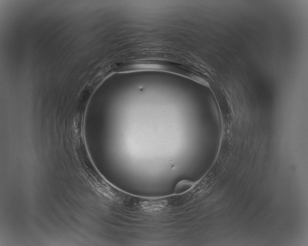 X0000054390373200507291150