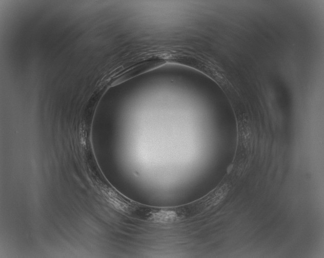 X0000054390374200507291150