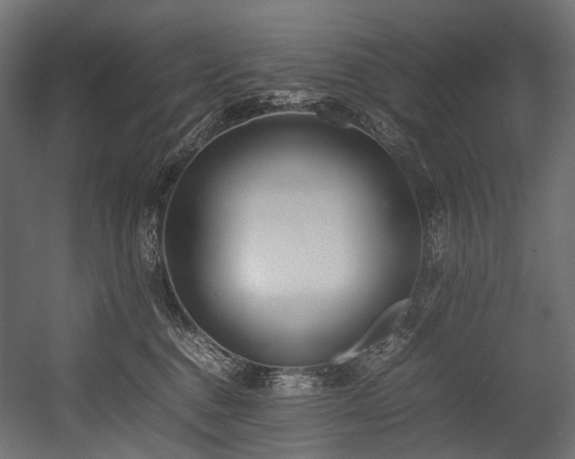 X0000054390376200507291150
