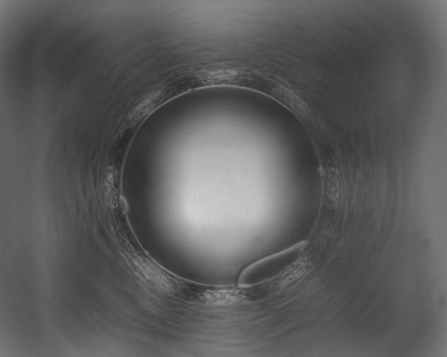 X0000054390378200507291150