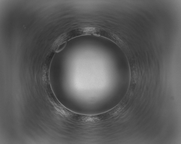 X0000054390379200507291150