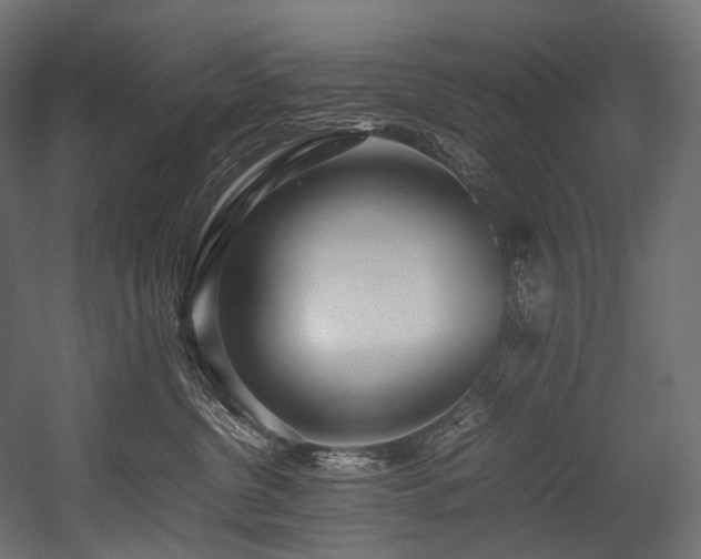X0000054390380200507291150