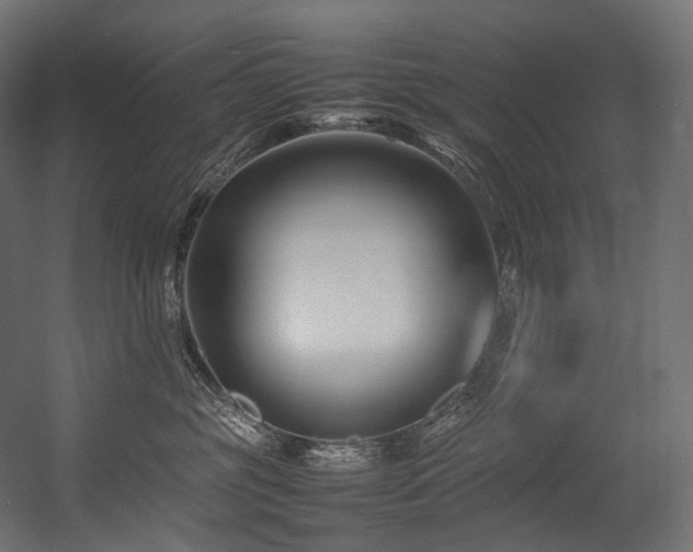 X0000054390381200507291150