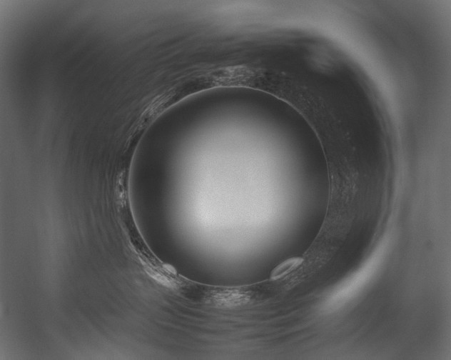 X0000054390383200507291150
