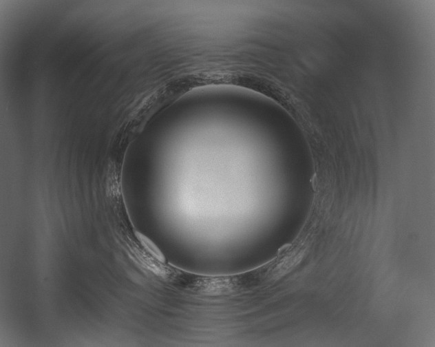 X0000054390384200507291150