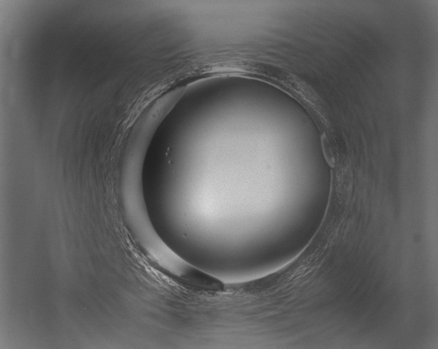 X0000054390385200507291149