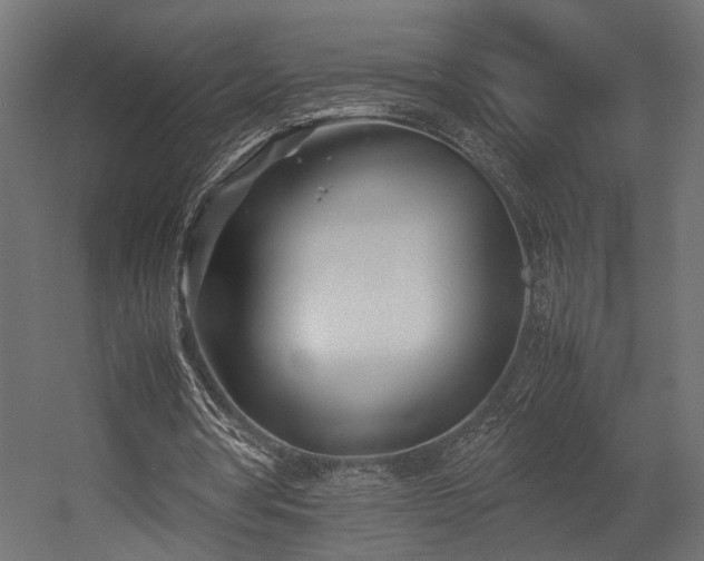 X0000054390386200507291149