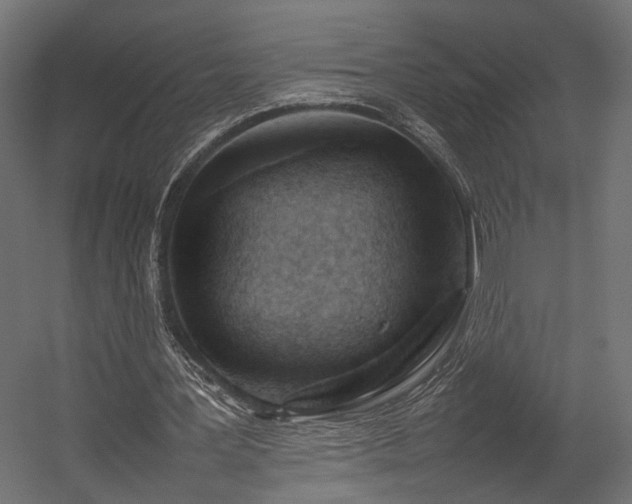 X0000054390387200507291149