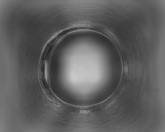 X0000054390388200507291149