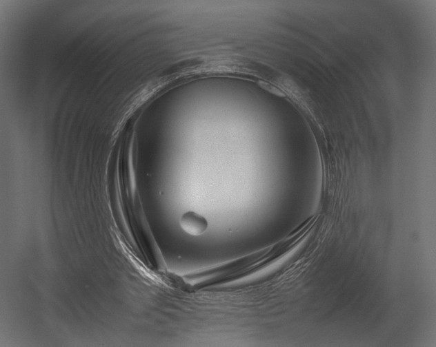 X0000054390389200507291149