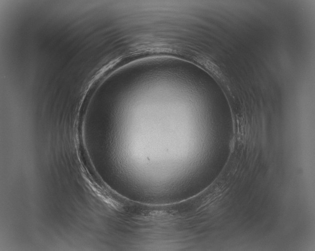 X0000054390390200507291149