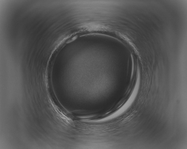 X0000054390391200507291149