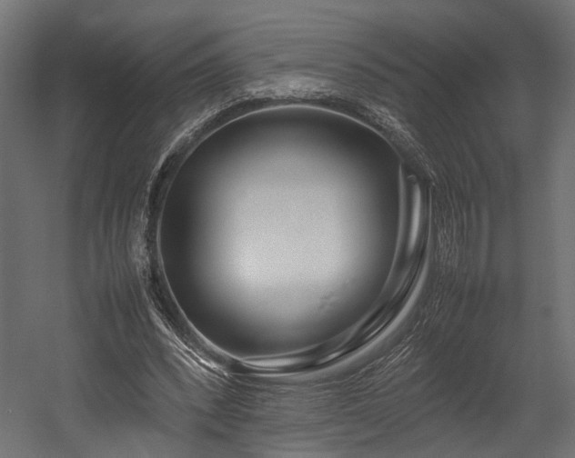 X0000054390392200507291149