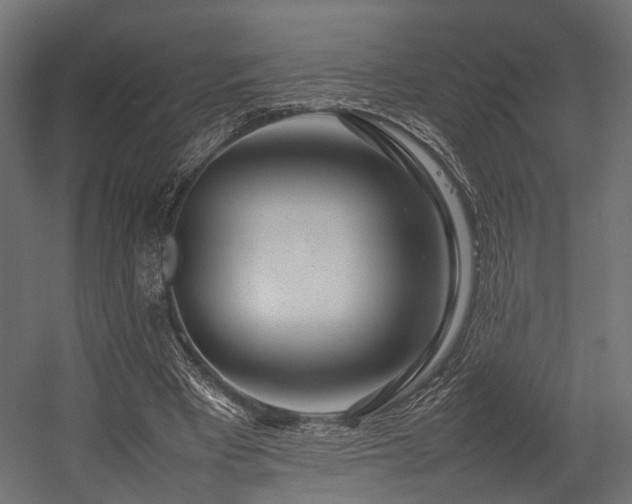 X0000054390393200507291149