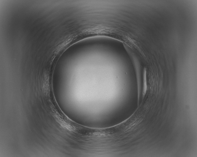 X0000054390394200507291149