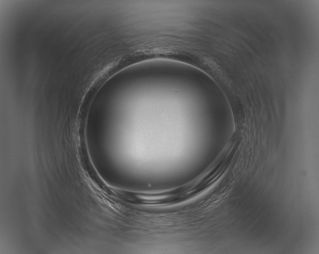 X0000054390395200507291149