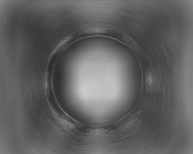 X0000054390396200507291149