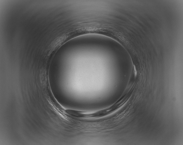 X0000054390397200507291149