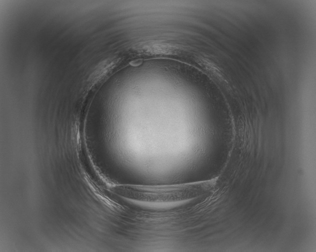 X0000054390398200507291149