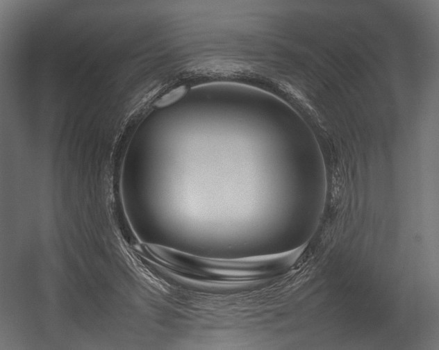 X0000054390399200507291149