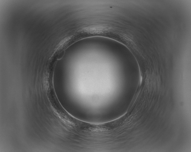 X0000054390400200507291149