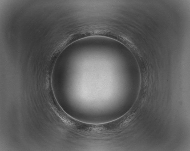 X0000054390401200507291149