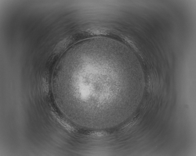 X0000054390402200507291149