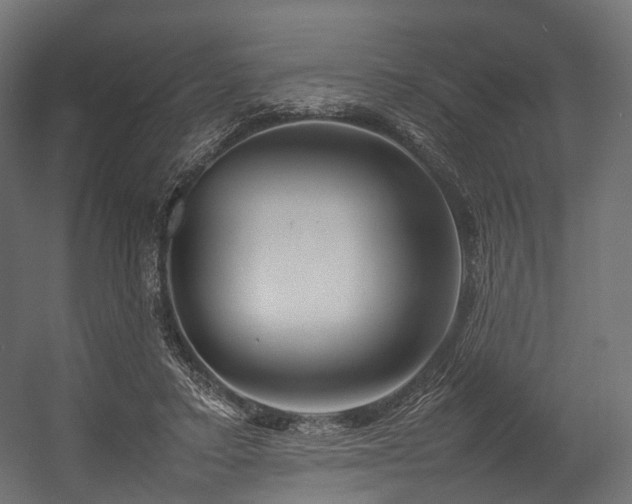 X0000054390403200507291149