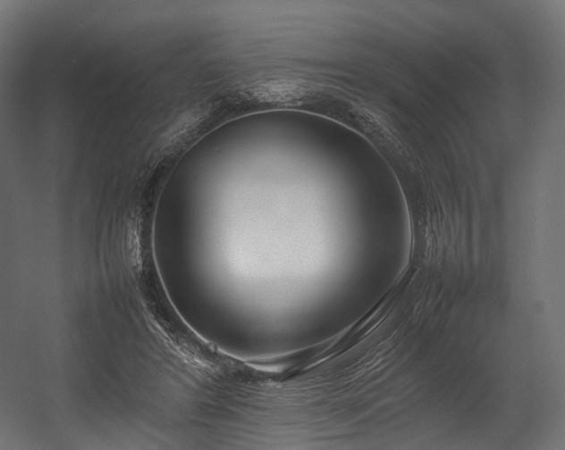 X0000054390404200507291149