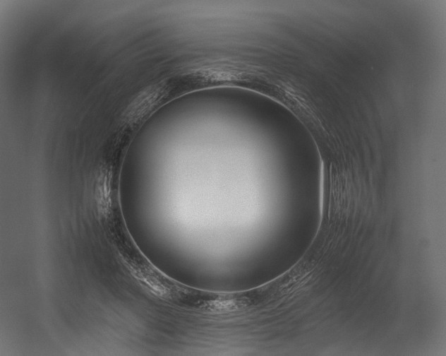 X0000054390406200507291149