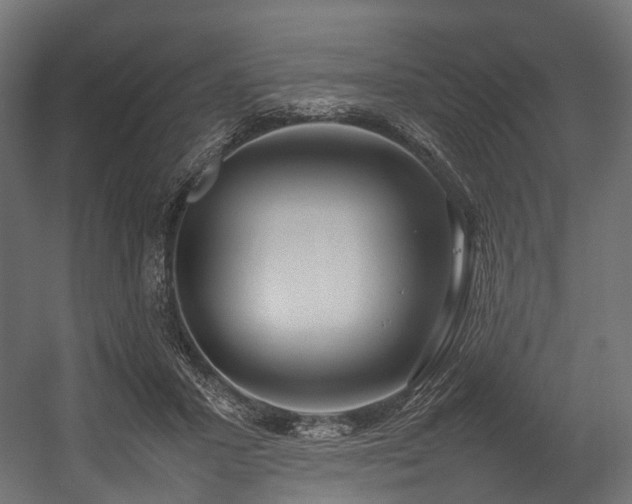 X0000054390407200507291149