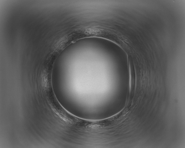 X0000054390408200507291149