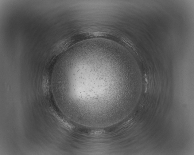 X0000054390410200507291149