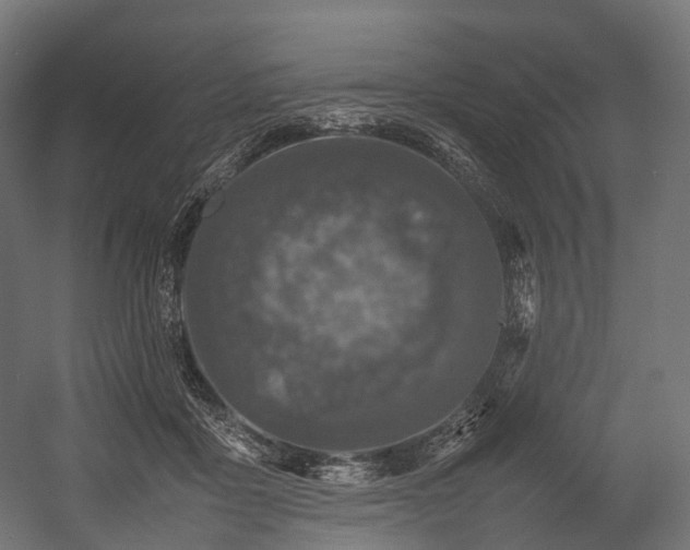 X0000054390411200507291149
