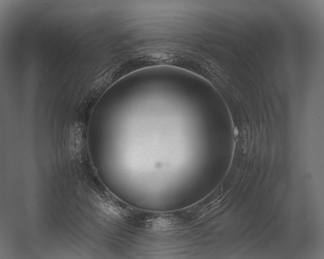X0000054390412200507291149