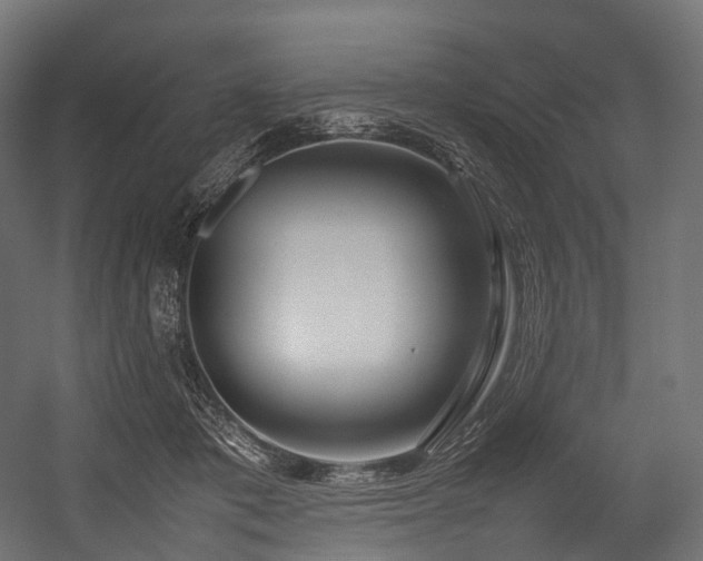 X0000054390413200507291149