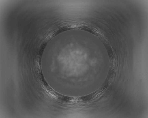 X0000054390415200507291149