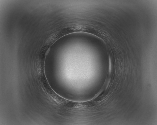 X0000054390416200507291149