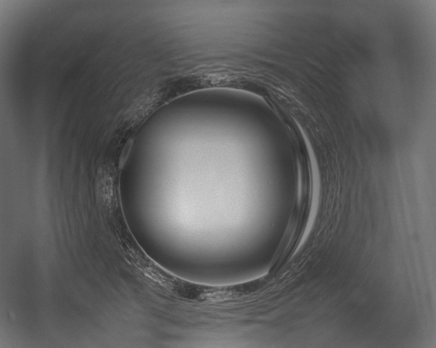 X0000054390417200507291149