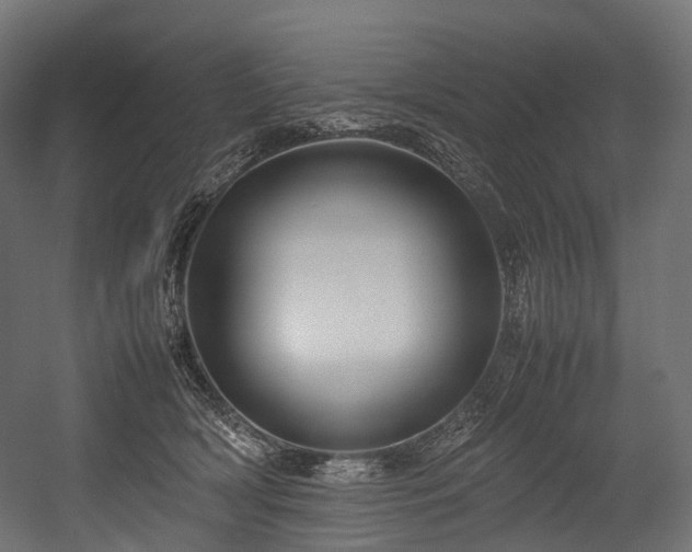 X0000054390418200507291149