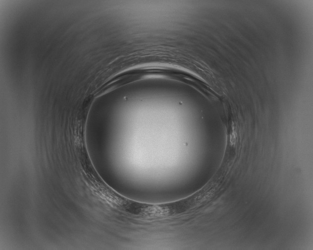 X0000054390421200507291149